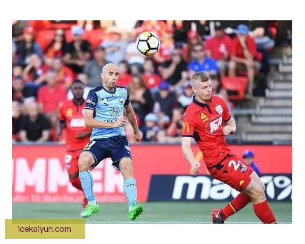 奥布拉克恢复顺利，状态回暖备受关注，球队防线将更为稳固