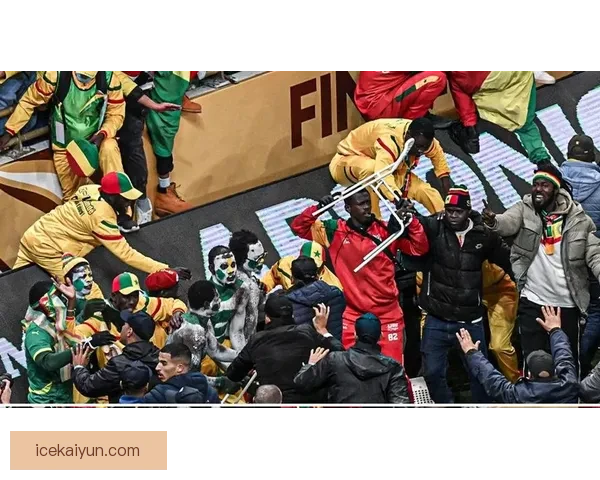 非洲球迷狂热氛围成赛事热度提升的重要因素